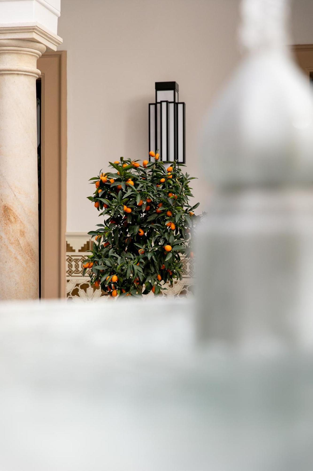 Hotel Casa Palacio Don Ramon Sevilla Bagian luar foto